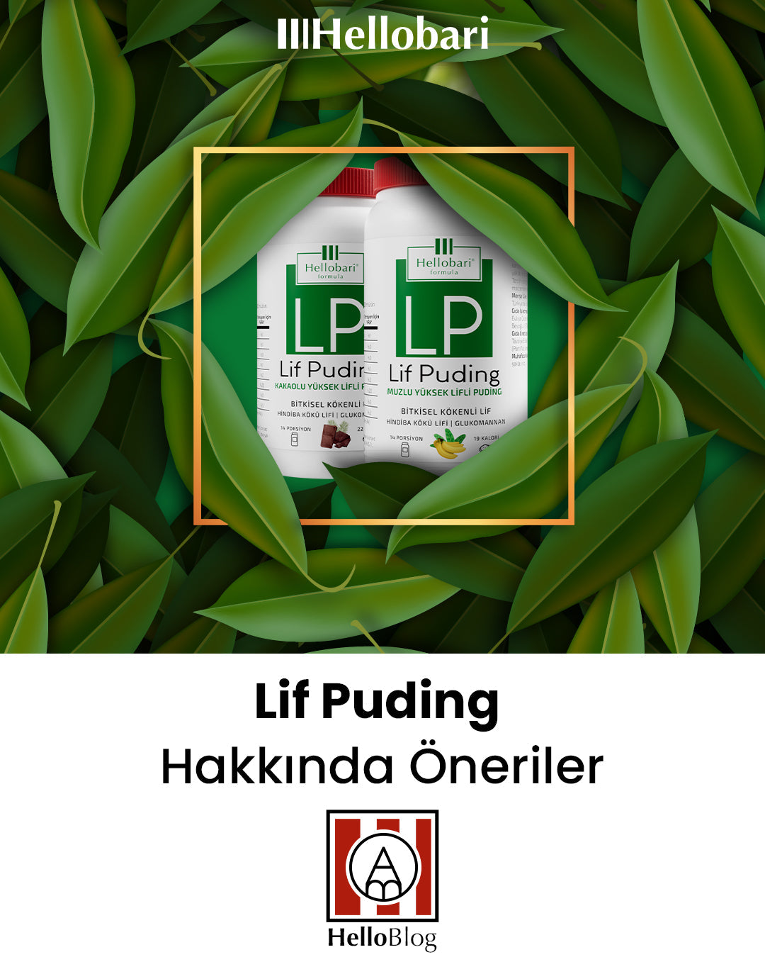 Lif Puding Hakkında Öneriler