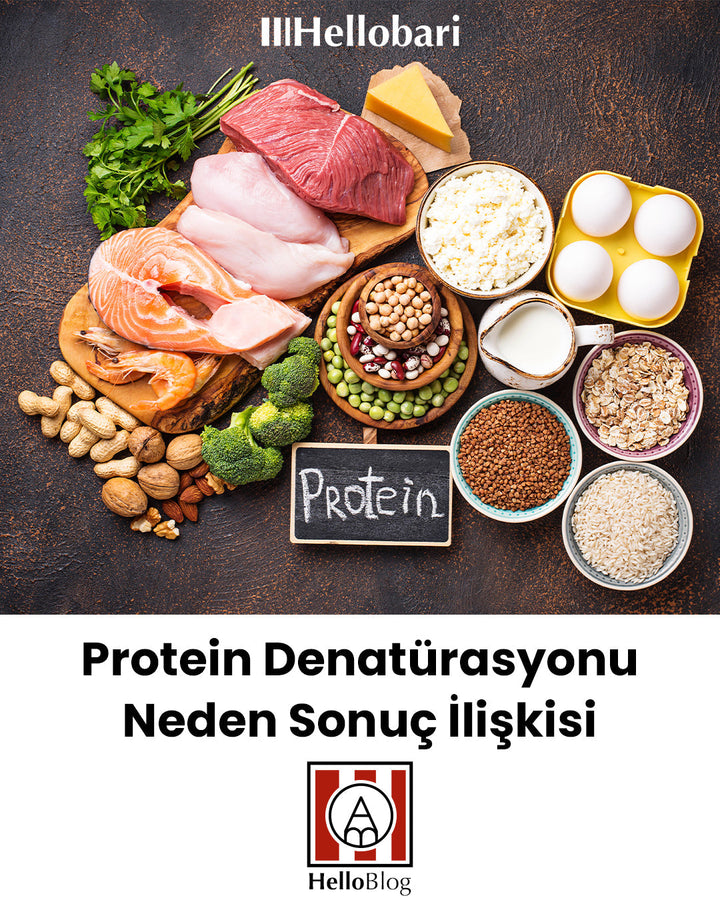 Protein Denatürasyonu