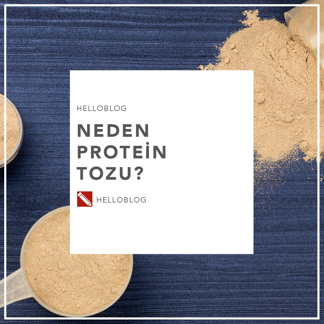 Neden Protein Tozu? – Hellohupu